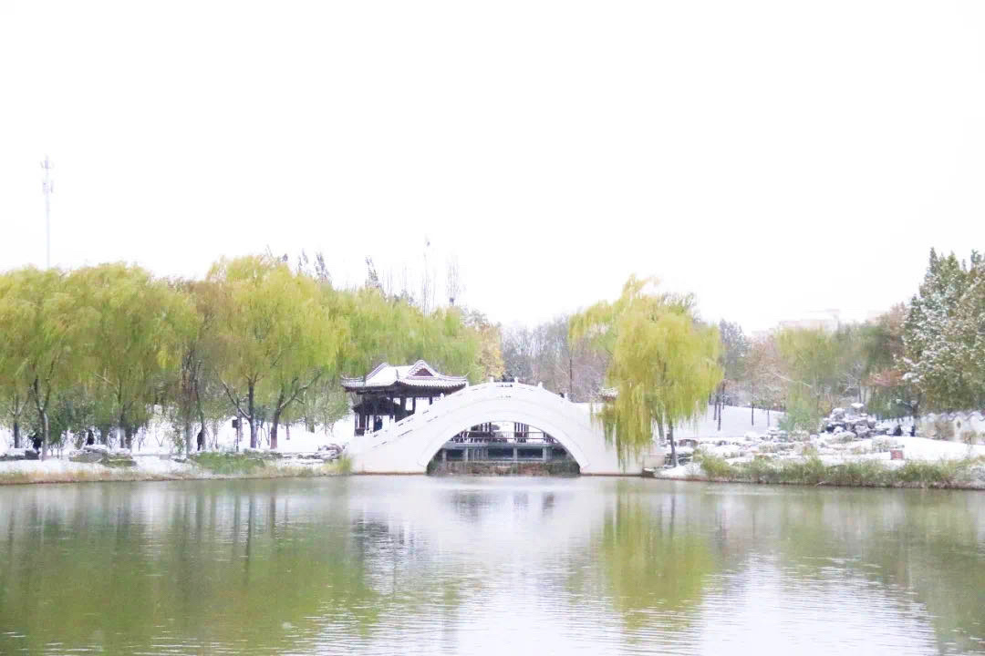 Discover Beijing in 2024 BIT International Winter Programs (Online)