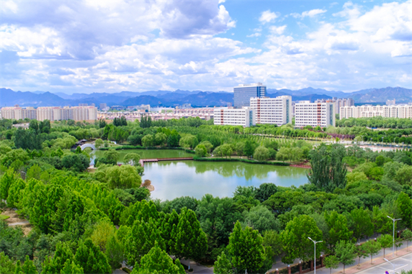 1709866376518041321.jpg 2.jpg