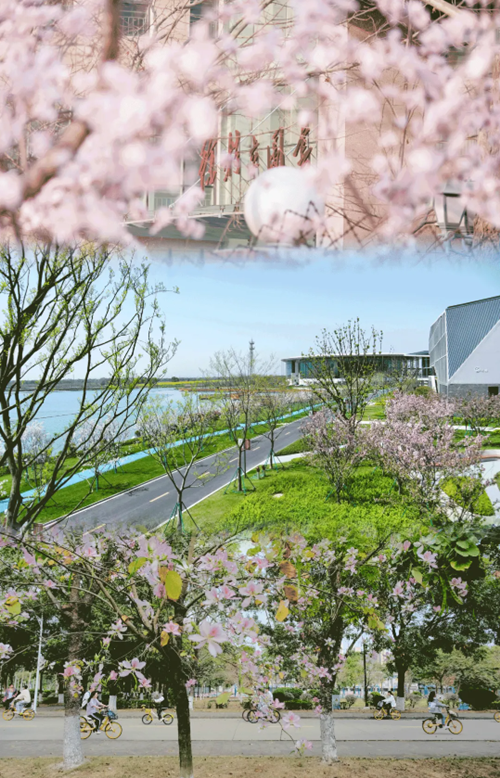 1712739743072065941.png 1.png