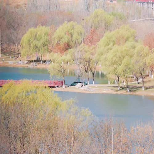 1712739923511003333.png 2.png