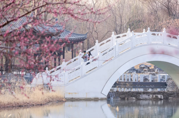 1712739930324024279.png 3.png