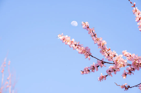 1712739935460003044.png 4.png