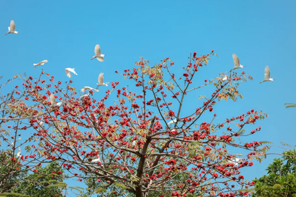 1712739948388018162.png 6.png