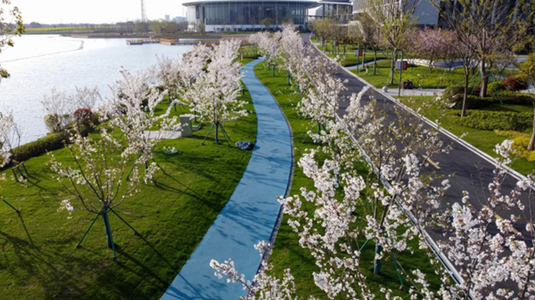 1712739960986047884.png 8.png