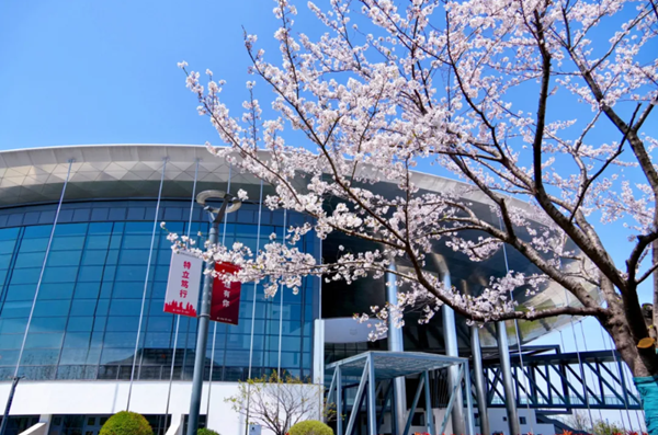 1712739966114017071.png 9.png